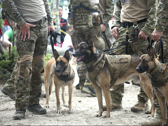 “吉恩•德科特和迈克尔•雅各布:太阳系的战争在上帝的手中,第一部分”|Kat – 3.19.21