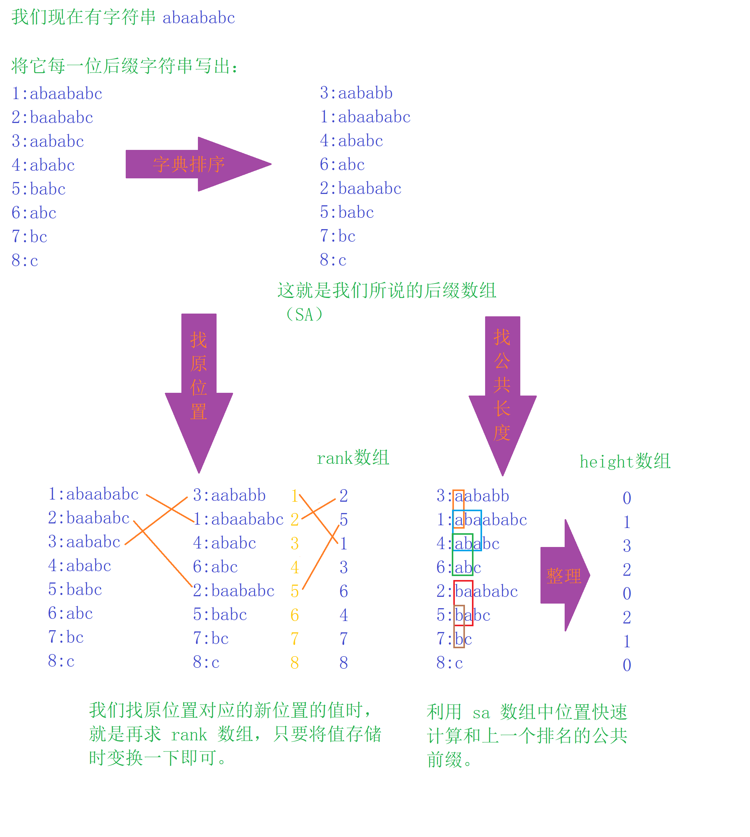 后缀数组