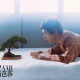 TwlVi9