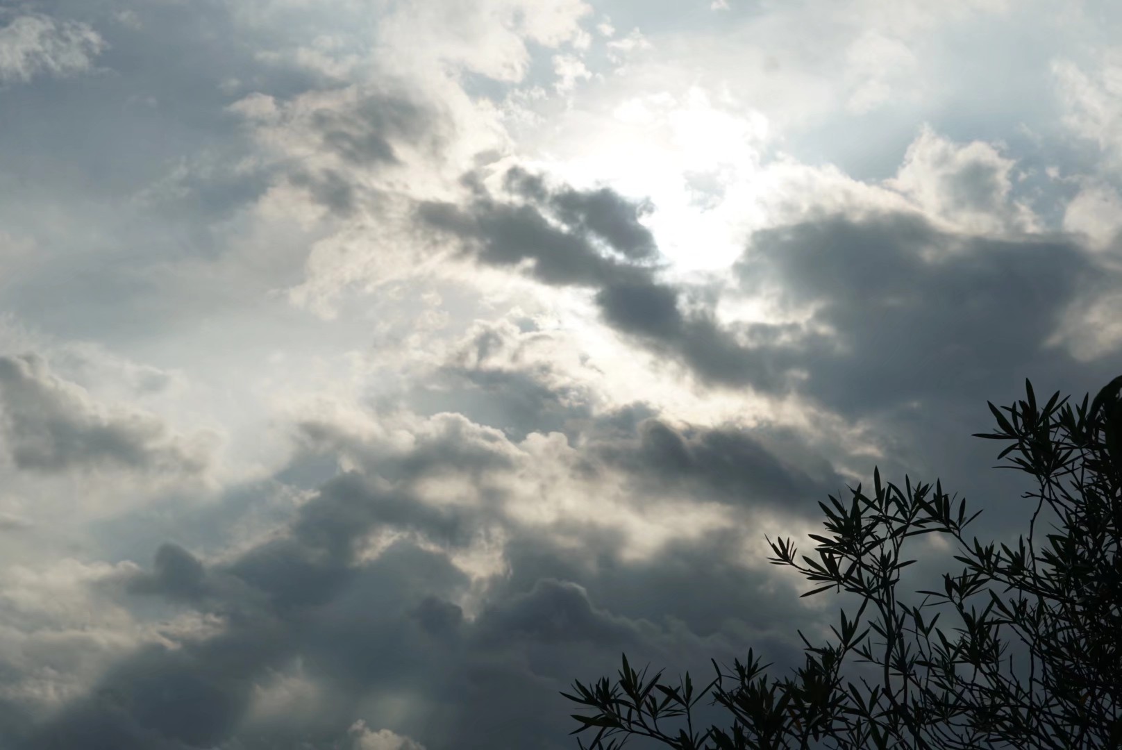 sky