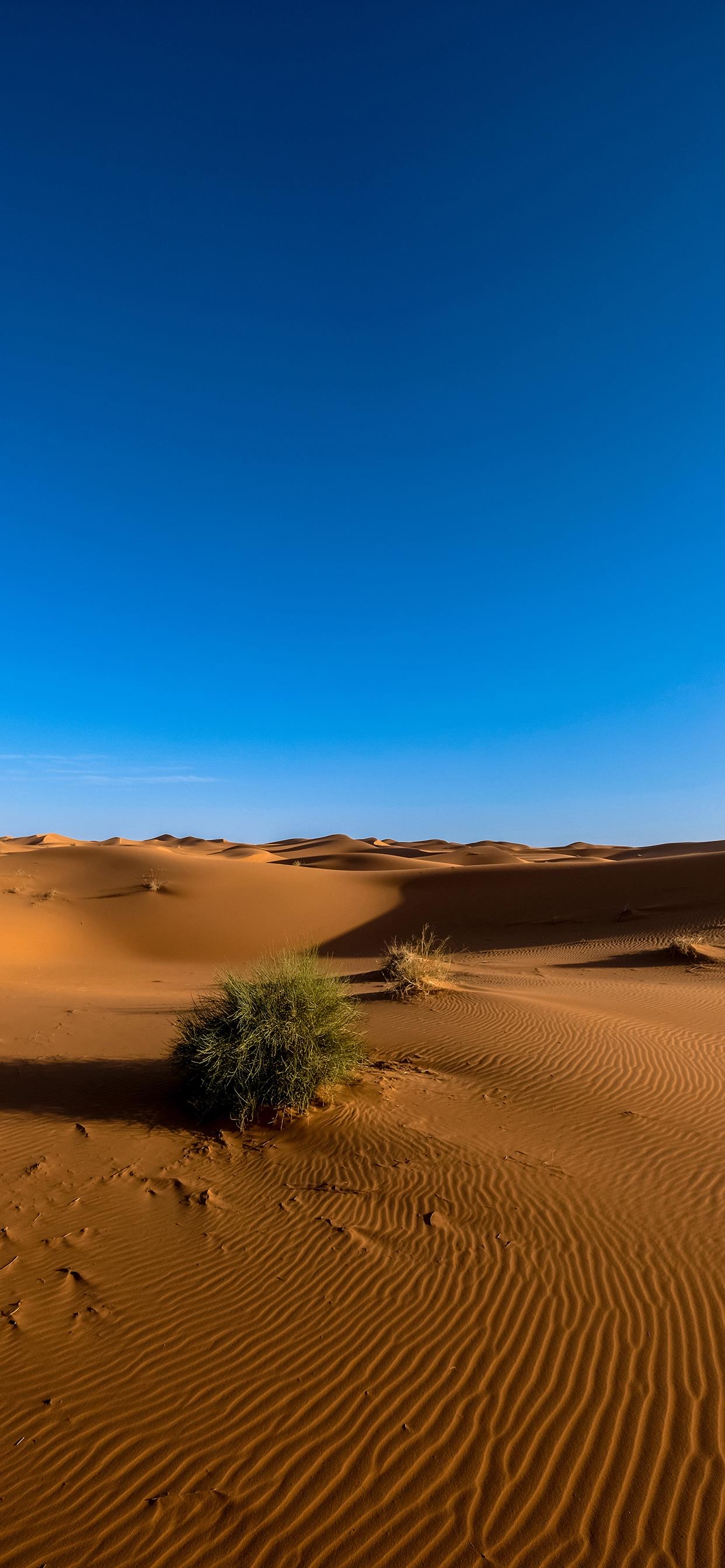 沙漠里的蓝天高清4k风景壁纸