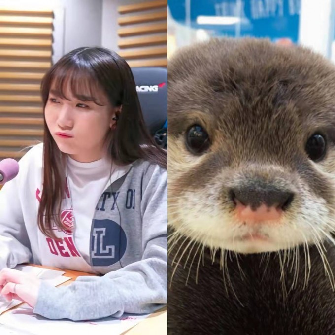 7pkiNR.jpg