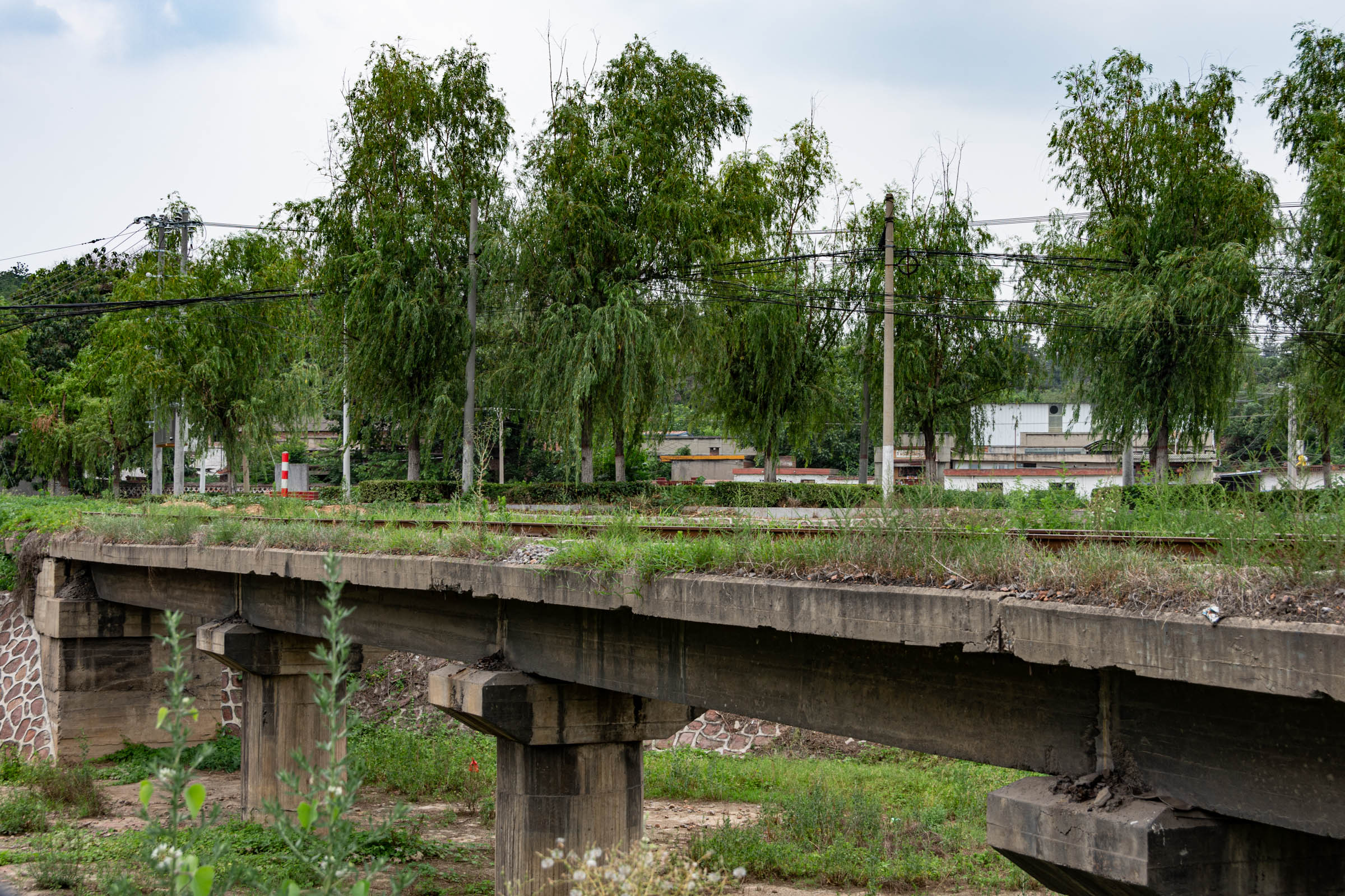 At the intersection of Xijinhua Road and Wangchao Road in Chaohua Town, there is an unnamed beam bridge that was built later than the first one opened to traffic.