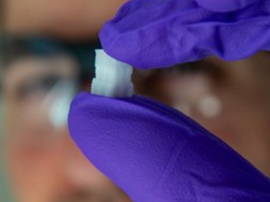 人体组织3D生物打印技术六项研究进展 2 莱斯大学研究人员发明的这种生物相容性植入体会随着时间的推移而降解,最后只留下自然组织。图片提供:莱斯大学
